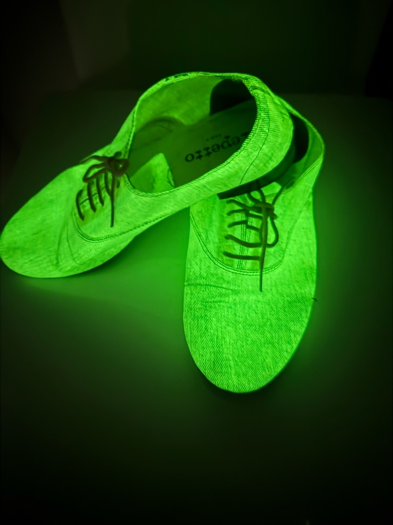 Rare Repetto Zizi Oxford In Glow In The Dark Canvas